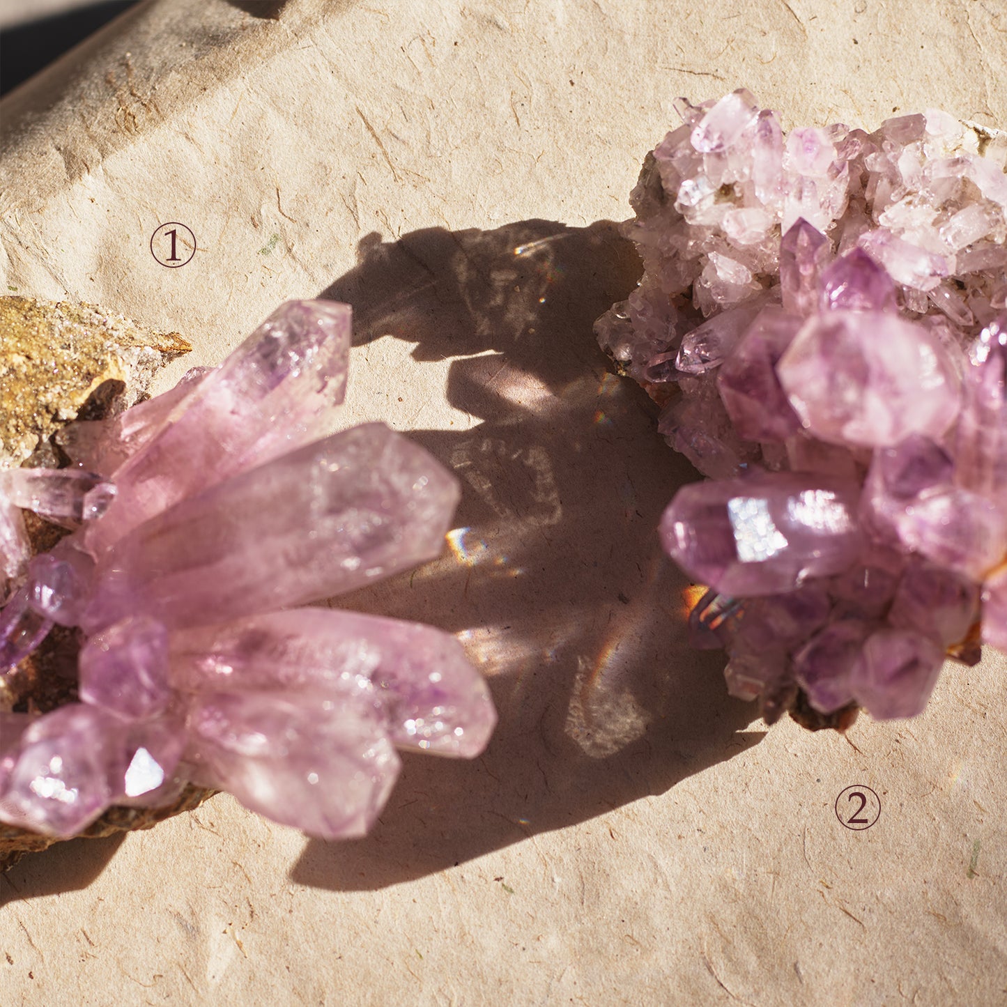 Mexican Veracruz Amethyst Cluster