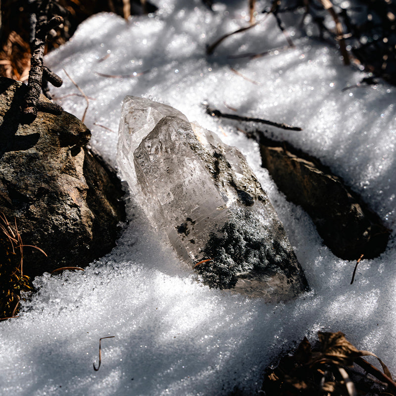 Himalayan Chlorite Etched Quartz In Mica Symbiosis, Floating Root