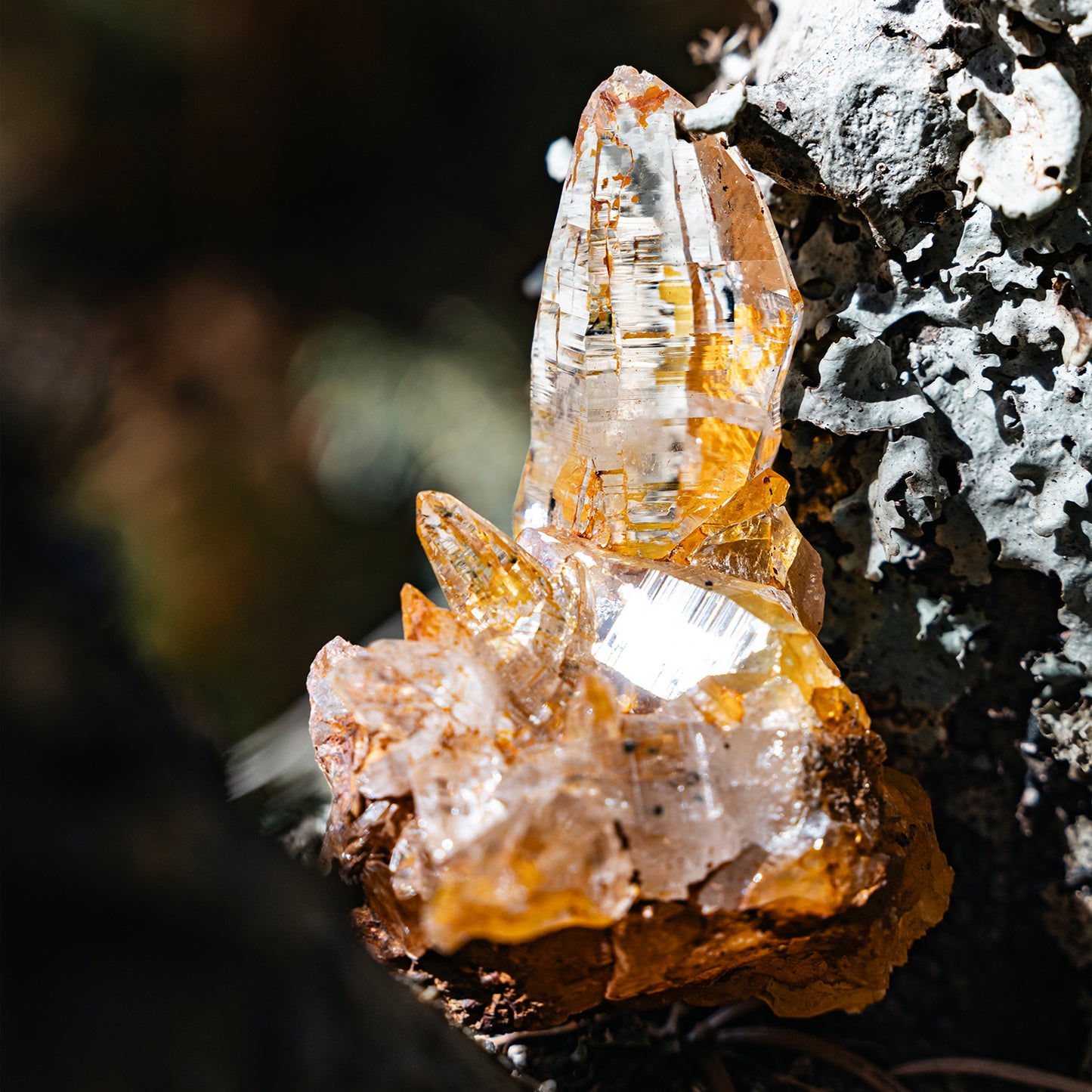 Nepal Golden Himalayan Clear Quartz