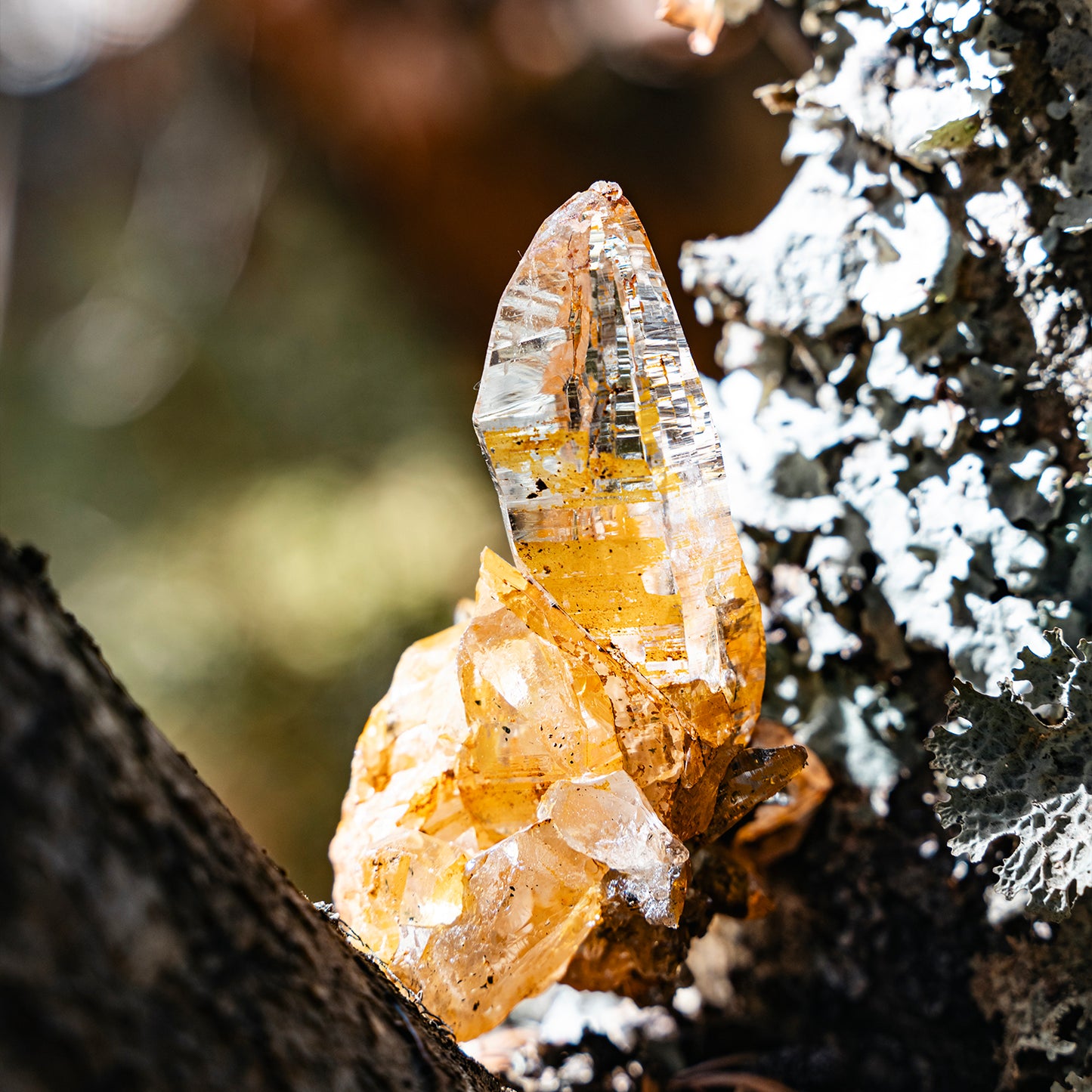 Nepal Golden Himalayan Clear Quartz