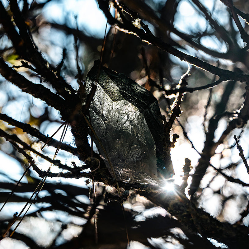 Himalayan Chlorite Etched ET Quartz Crystal