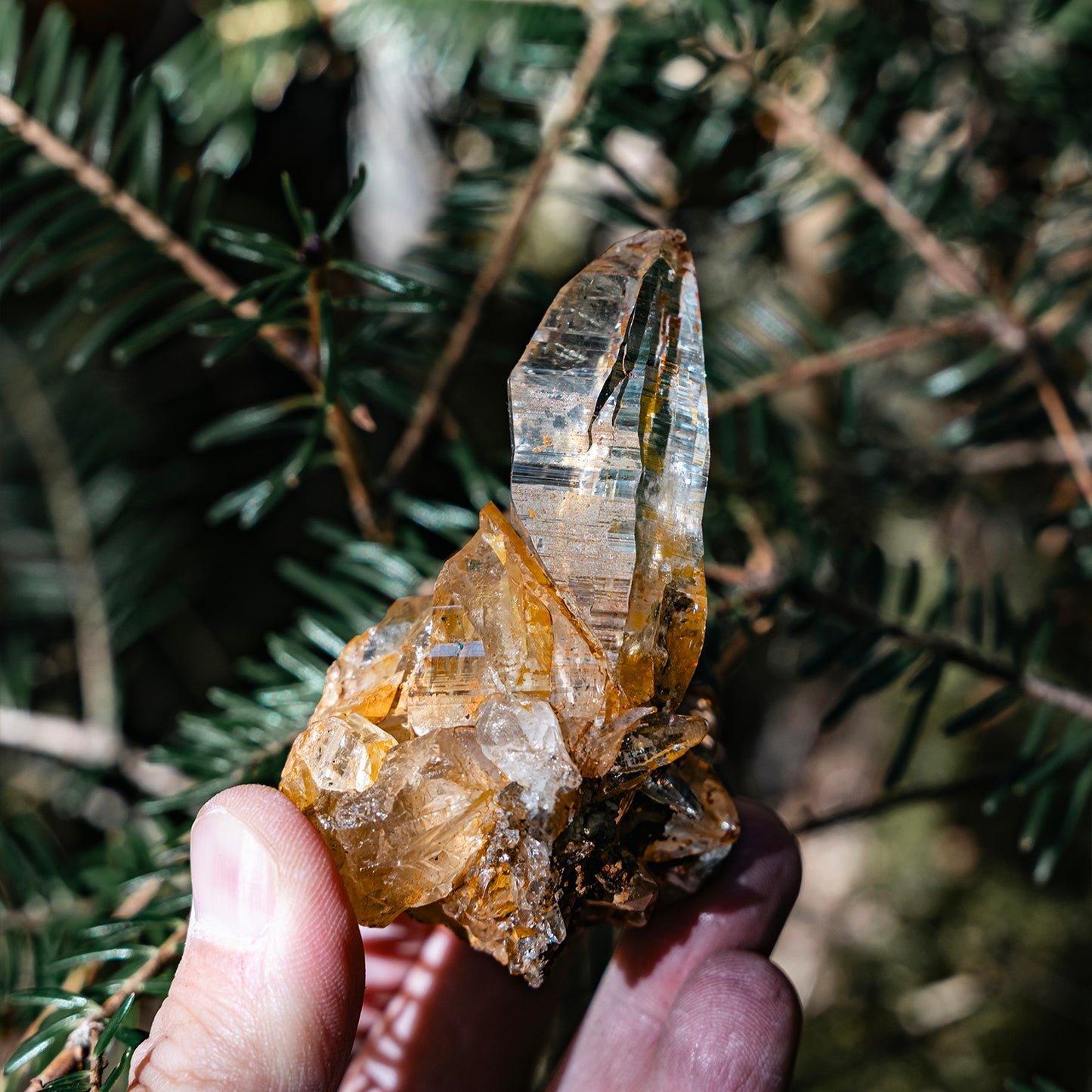 Nepal Golden Himalayan Clear Quartz