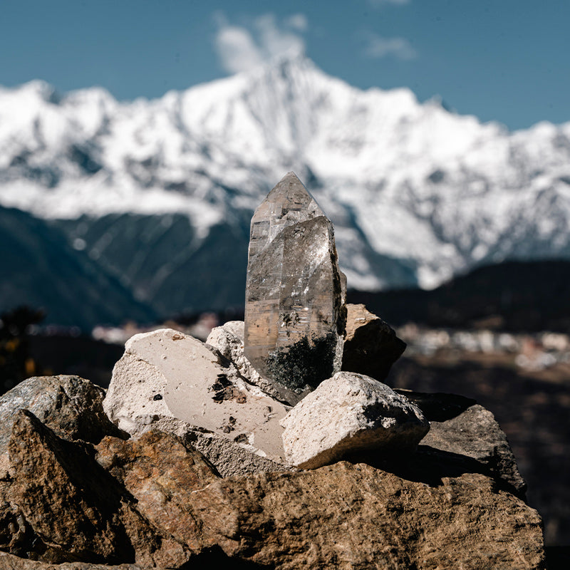 Himalayan Chlorite Etched Quartz In Mica Symbiosis, Floating Root