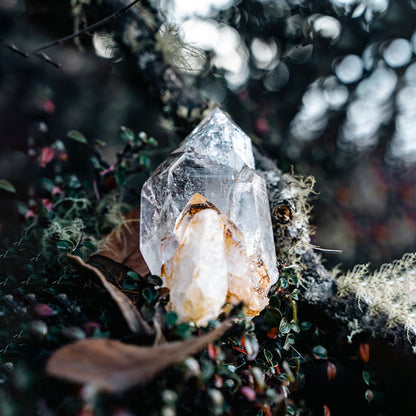 Himalayan Clear Crystal With Golden Healer