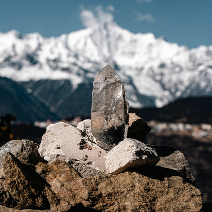 Himalayan Chlorite Etched Quartz In Mica Symbiosis, Floating Root